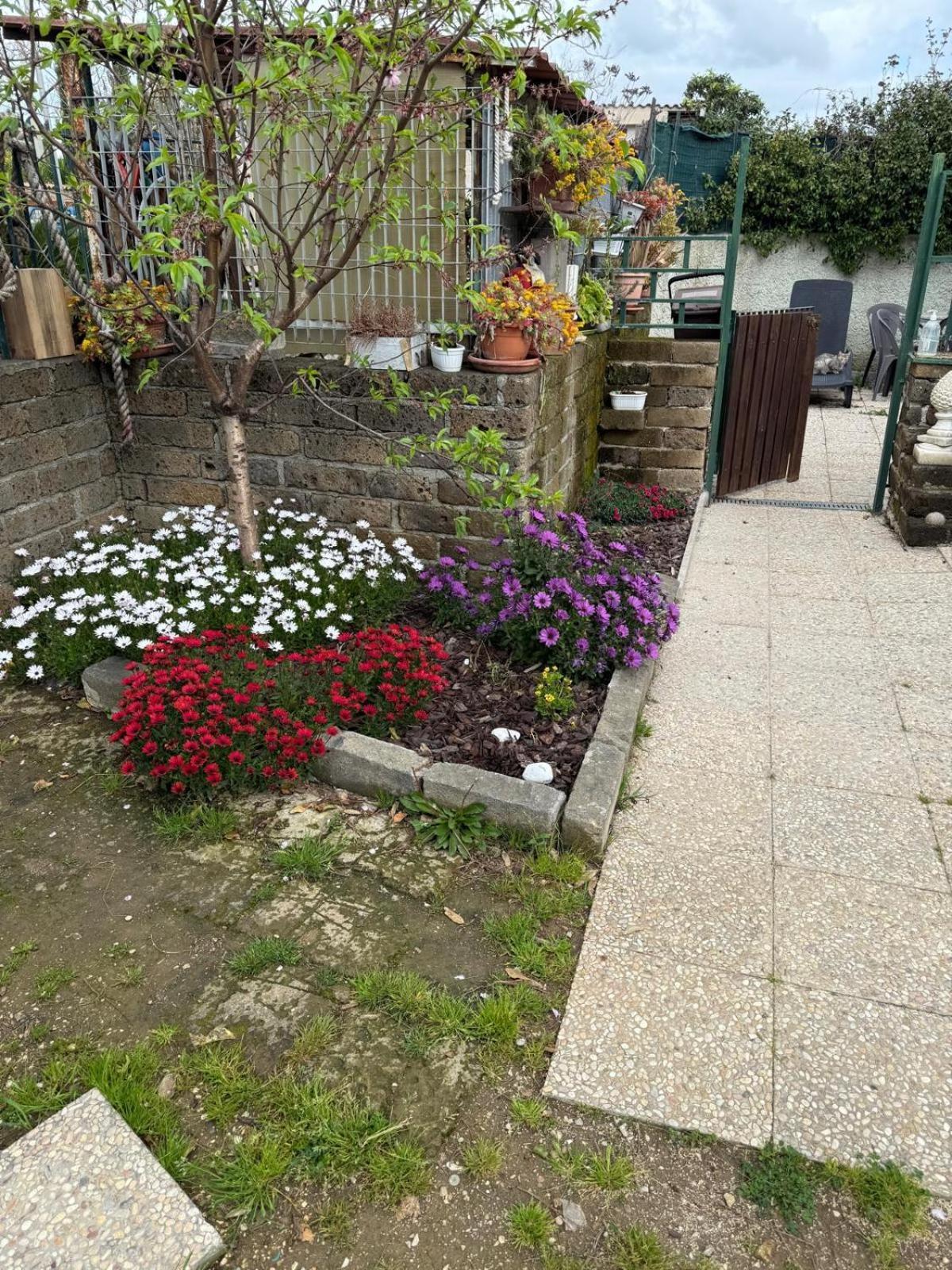 Flower House チビタベッキア エクステリア 写真