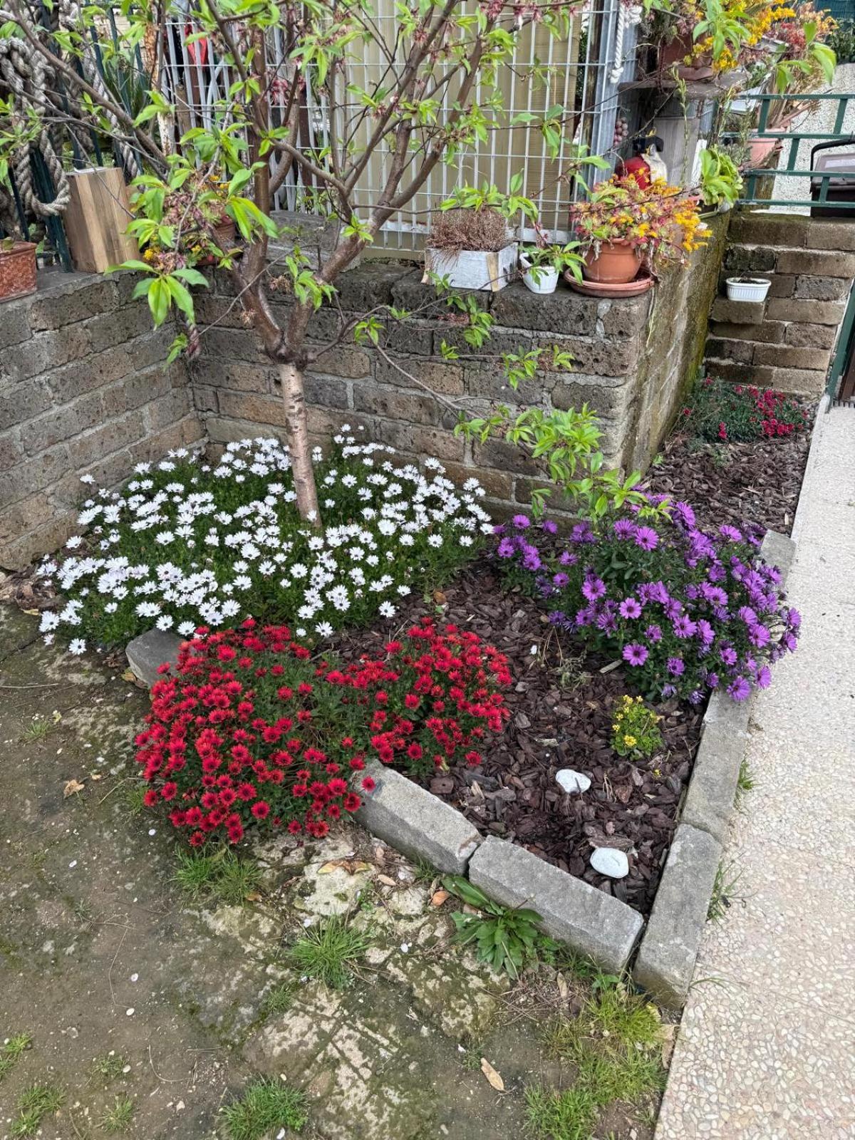 Flower House チビタベッキア エクステリア 写真